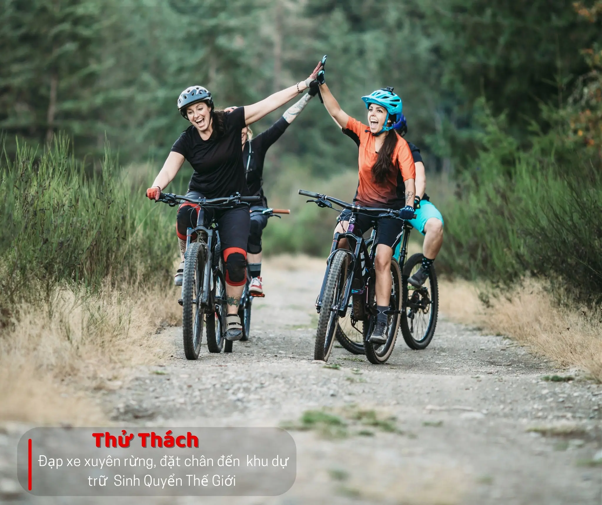 TOUR KHÁM PHÁ RỪNG GIA CANH – THÁC MAI – SUỐI MƠ