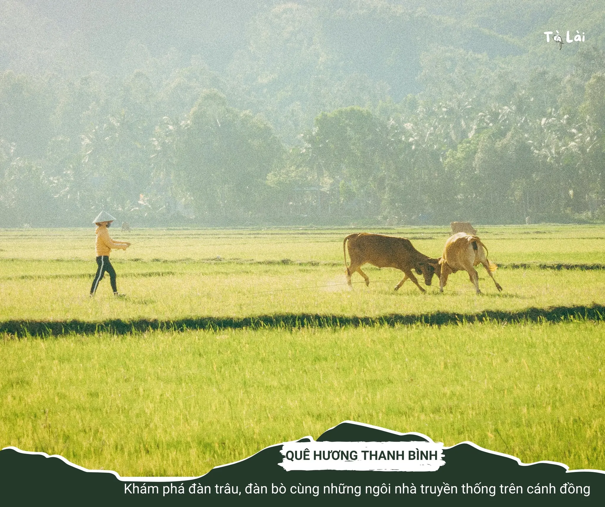 E - TOUR<br>MỘT BƯỚC ĐI - VẠN TRẢI NGHIỆM