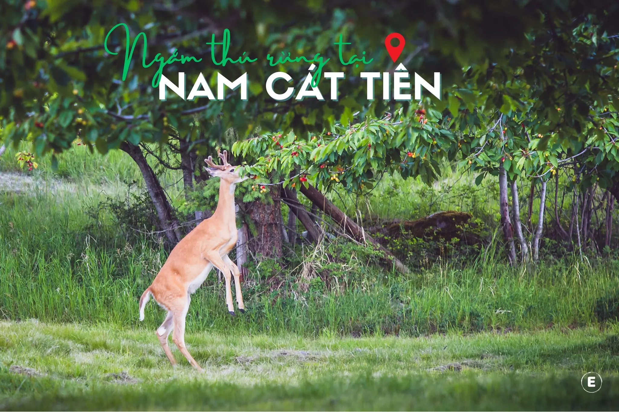 E - TOUR<br>MỘT BƯỚC ĐI - VẠN TRẢI NGHIỆM